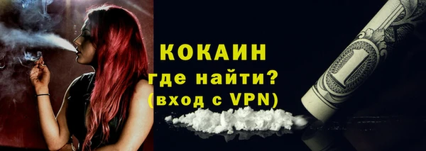 молекула духа Арсеньев