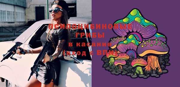тгк Аркадак