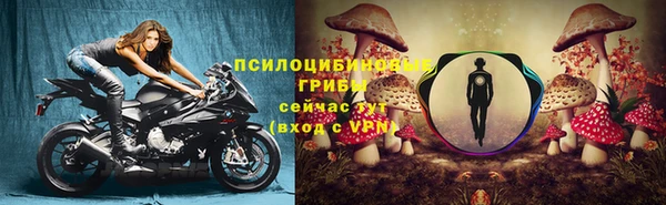 тгк Аркадак