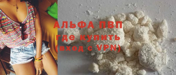 молекула духа Арсеньев