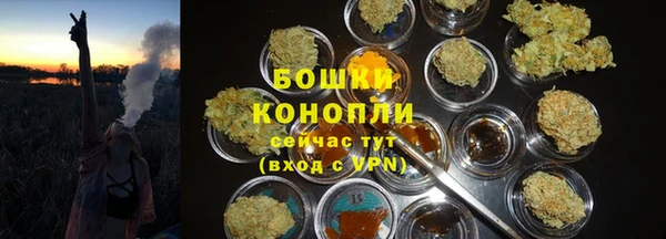 тгк Аркадак