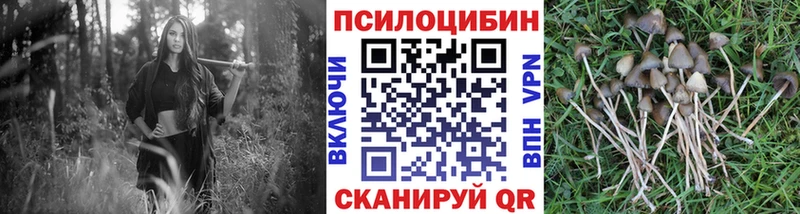 Галлюциногенные грибы Magic Shrooms  где купить наркоту  Малая Вишера 