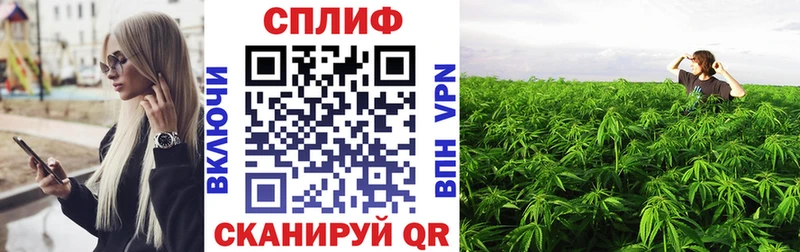 Канабис семена Малая Вишера